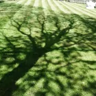 Business 30 image E D R LANDSCAPE MANAGEMENT SOLUTIONS LTD Tree Services in Warrington Ch