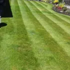 Business 31 image E D R LANDSCAPE MANAGEMENT SOLUTIONS LTD Tree Services in Warrington Ch