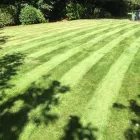 Business 36 image E D R LANDSCAPE MANAGEMENT SOLUTIONS LTD Tree Services in Warrington Ch