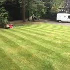 Business 37 image E D R LANDSCAPE MANAGEMENT SOLUTIONS LTD Tree Services in Warrington Ch