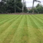 Business 40 image E D R LANDSCAPE MANAGEMENT SOLUTIONS LTD Tree Services in Warrington Ch