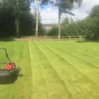 Business 41 image E D R LANDSCAPE MANAGEMENT SOLUTIONS LTD Tree Services in Warrington Ch