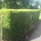Business 42 image E D R LANDSCAPE MANAGEMENT SOLUTIONS LTD Tree Services in Warrington Ch
