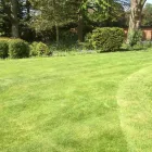 Business 43 image E D R LANDSCAPE MANAGEMENT SOLUTIONS LTD Tree Services in Warrington Ch