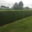 Business 45 image E D R LANDSCAPE MANAGEMENT SOLUTIONS LTD Tree Services in Warrington Ch