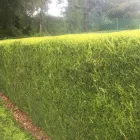 Business 47 image E D R LANDSCAPE MANAGEMENT SOLUTIONS LTD Tree Services in Warrington Ch