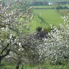 Business 3 image EASTERBROOK EATON LTD Accountants in Sidmouth De