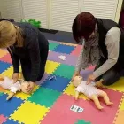 Business 2 image ELITE TRAINING SOLUTIONS Training Services in Moira Un