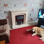 Business 5 image EMBERZ FIREPLACES HVAC Contractors in Waterlooville Ha