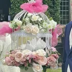 Business 4 image ENCHANTED WINGS DOVE RELEASE Wedding Services in Walsall We