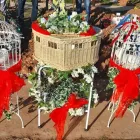 Business 24 image ENCHANTED WINGS DOVE RELEASE Wedding Services in Walsall We