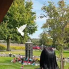 Business 27 image ENCHANTED WINGS DOVE RELEASE Wedding Services in Walsall We