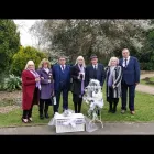 Business 30 image ENCHANTED WINGS DOVE RELEASE Wedding Services in Walsall We