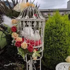 Business 37 image ENCHANTED WINGS DOVE RELEASE Wedding Services in Walsall We