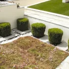 Business 4 image ENGLISH LANDSCAPES Landscapers in Swadlincote De