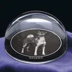 Business 11 image ENGRAVE-IT UK LTD Shopping & Retail in High Wycombe Bu