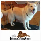 Business 7 image ENTERPRISE Medical Supplies in Stoke-On-Trent St