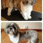 Business 8 image ENTERPRISE Medical Supplies in Stoke-On-Trent St