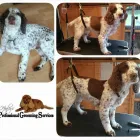 Business 9 image ENTERPRISE Medical Supplies in Stoke-On-Trent St