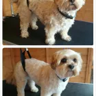 Business 1 image ENTERPRISE Medical Supplies in Stoke-On-Trent St