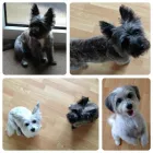 Business 3 image ENTERPRISE Medical Supplies in Stoke-On-Trent St