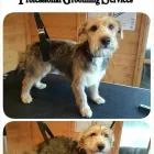 Business 4 image ENTERPRISE Medical Supplies in Stoke-On-Trent St