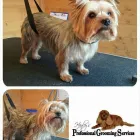 Business 5 image ENTERPRISE Medical Supplies in Stoke-On-Trent St