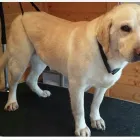 Business 6 image ENTERPRISE Medical Supplies in Stoke-On-Trent St