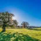 Business 1 image ESSEX & SUFFOLK CARAVANS Real Estate Services in Braintree Es