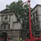 Business 6 image ESSEX TREE SERVICES LTD Tree Services in Hockley Es