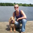 Business 1 image EUROPCAR CAR RENTAL Self Drive Car Hire in Gloucester Gl