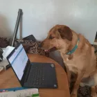 Business 12 image EXPAND YOUR WING Personal Coaches & Life Coaches in Yeovil So