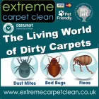 Business 1 image EXTREME CARPET CLEAN Steam Cleaning in Marton-In-Cleveland No