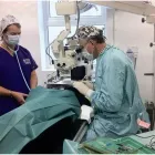 Business 2 image FAIRNINGTON HAIR & BEAUTY Hairdressers in Edinburgh Mi