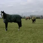 Business 4 image FAIRVIEW CARE HOME LTD Nurses' Agencies & Care Agencies in Newport Is