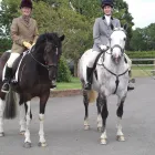 Business 7 image FAIRVIEW CARE HOME LTD Nurses' Agencies & Care Agencies in Newport Is