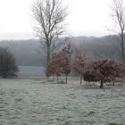 Business 2 image FAIRVIEW CARE HOME LTD Nurses' Agencies & Care Agencies in Newport Is