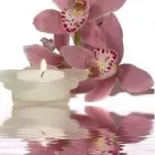 Business 6 image FINDING ANSWERS Hypnotherapists in Cheltenham Gl