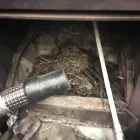 Business 17 image FIRE & ASH CHIMNEY SWEEP Welders in SUNDERLAND Ty