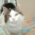 Business 5 image FIRST & LAST OFF LICENCE Off Licences & Wine Merchants in Newry Co