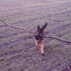 Business 6 image FIRST & LAST OFF LICENCE Off Licences & Wine Merchants in Newry Co