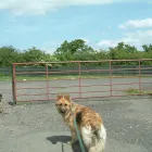 Business 7 image FIRST & LAST OFF LICENCE Off Licences & Wine Merchants in Newry Co