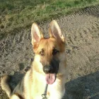 Business 8 image FIRST & LAST OFF LICENCE Off Licences & Wine Merchants in Newry Co