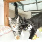 Business 2 image FIRST & LAST OFF LICENCE Off Licences & Wine Merchants in Newry Co