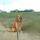Business 4 image FIRST & LAST OFF LICENCE Off Licences & Wine Merchants in Newry Co