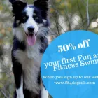 Business 3 image FIT4DOGSUK LTD CANINE HYDROTHERAPY CENTRE Veterinary Services in Beverley No