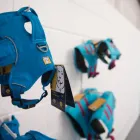 Business 4 image FIT4DOGSUK LTD CANINE HYDROTHERAPY CENTRE Veterinary Services in Beverley No