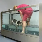 Business 7 image FIT4DOGSUK LTD CANINE HYDROTHERAPY CENTRE Veterinary Services in Beverley No