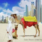 Business 3 image FLIGHT CENTRE Travel Agents & Services in Edinburgh Mi