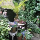 Business 4 image FLORISTS AT THE SWAN Florists in Billingham Cl